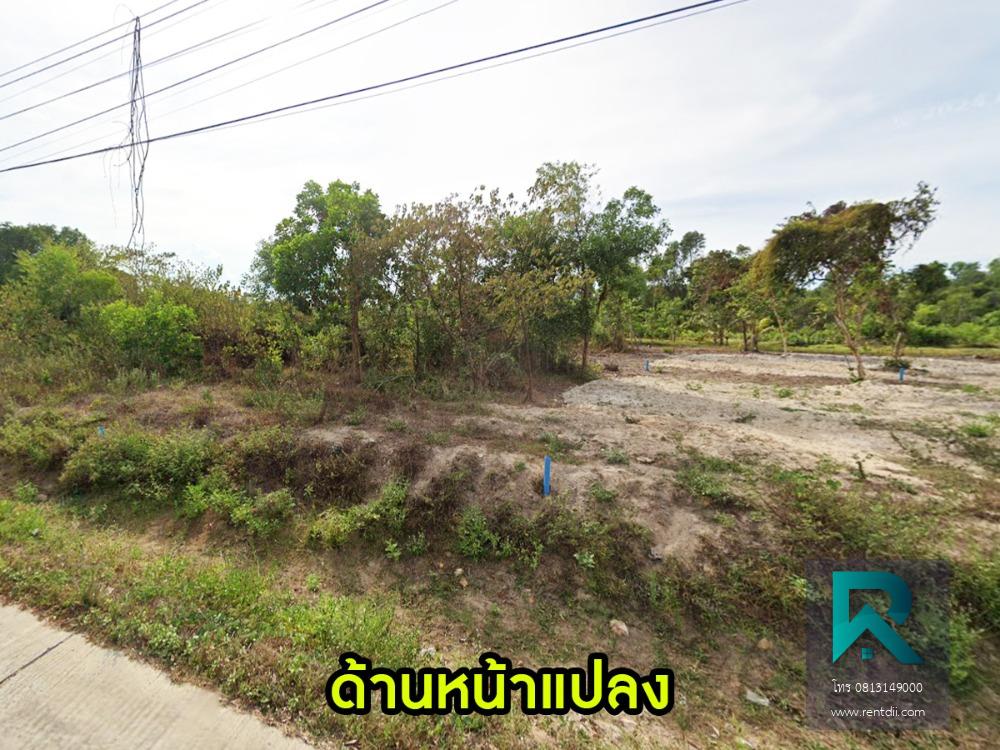 ขายที่ดิน 2แปลง ชายหาดสิงหนคร รวมแปลงหรือแยกได้ สิงหนคร สงขลา